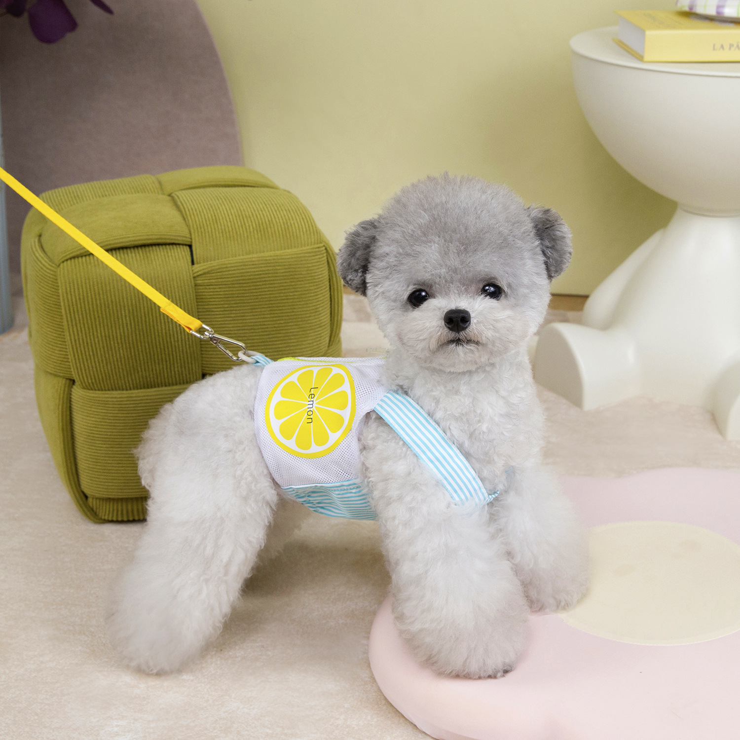 Wholesale of zipper pocket chest and back Teddy spring and Summer new fruit-printed dog outdoor leash pet supplies details Picture