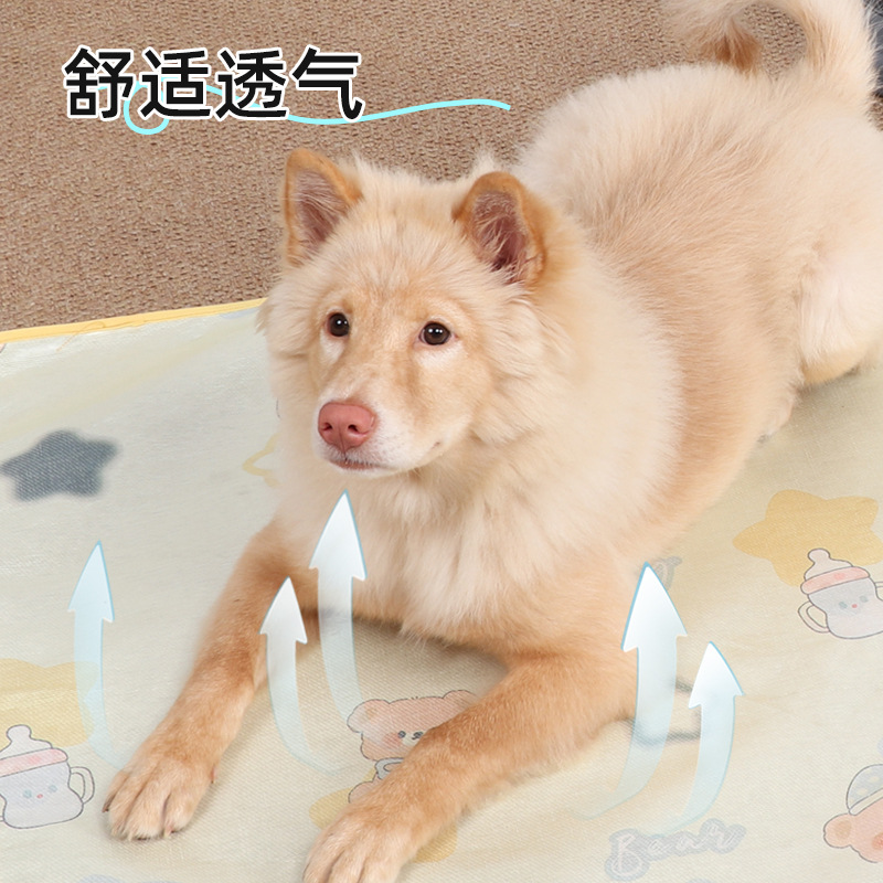 狗狗窝、笼实物图