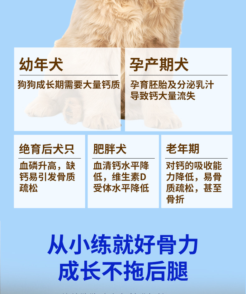 宠物高钙片猫狗通吃狗狗钙片大中型犬牧羊犬幼犬健骨补钙营养补充详情3