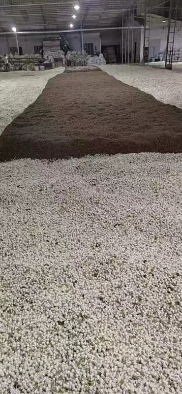Lao Jasmine black tea (260 yuan per jin), with fresh jasmine repeatedly scented, has a rich floral aroma, a red and lustrous tea soup, and a smooth and sweet aftertaste that lingers on the palate. Specification image
