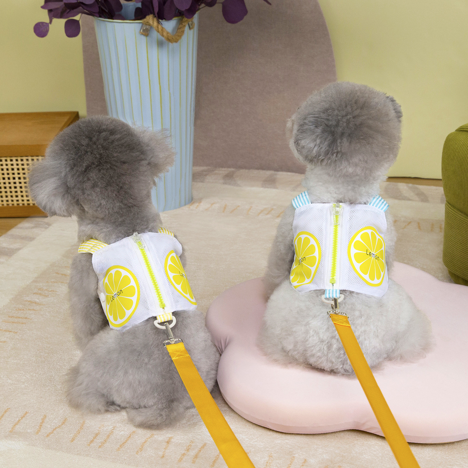Wholesale of zipper pocket chest and back Teddy spring and Summer new fruit-printed dog outdoor leash pet supplies