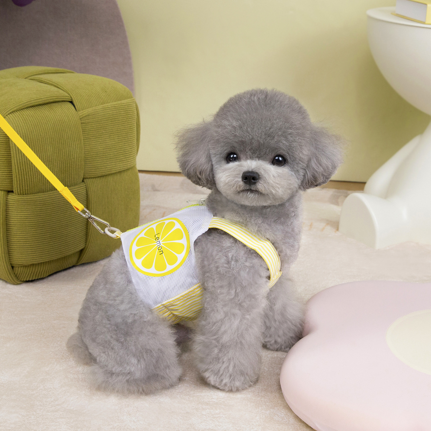 Wholesale of zipper pocket chest and back Teddy spring and Summer new fruit-printed dog outdoor leash pet supplies Application Scenario