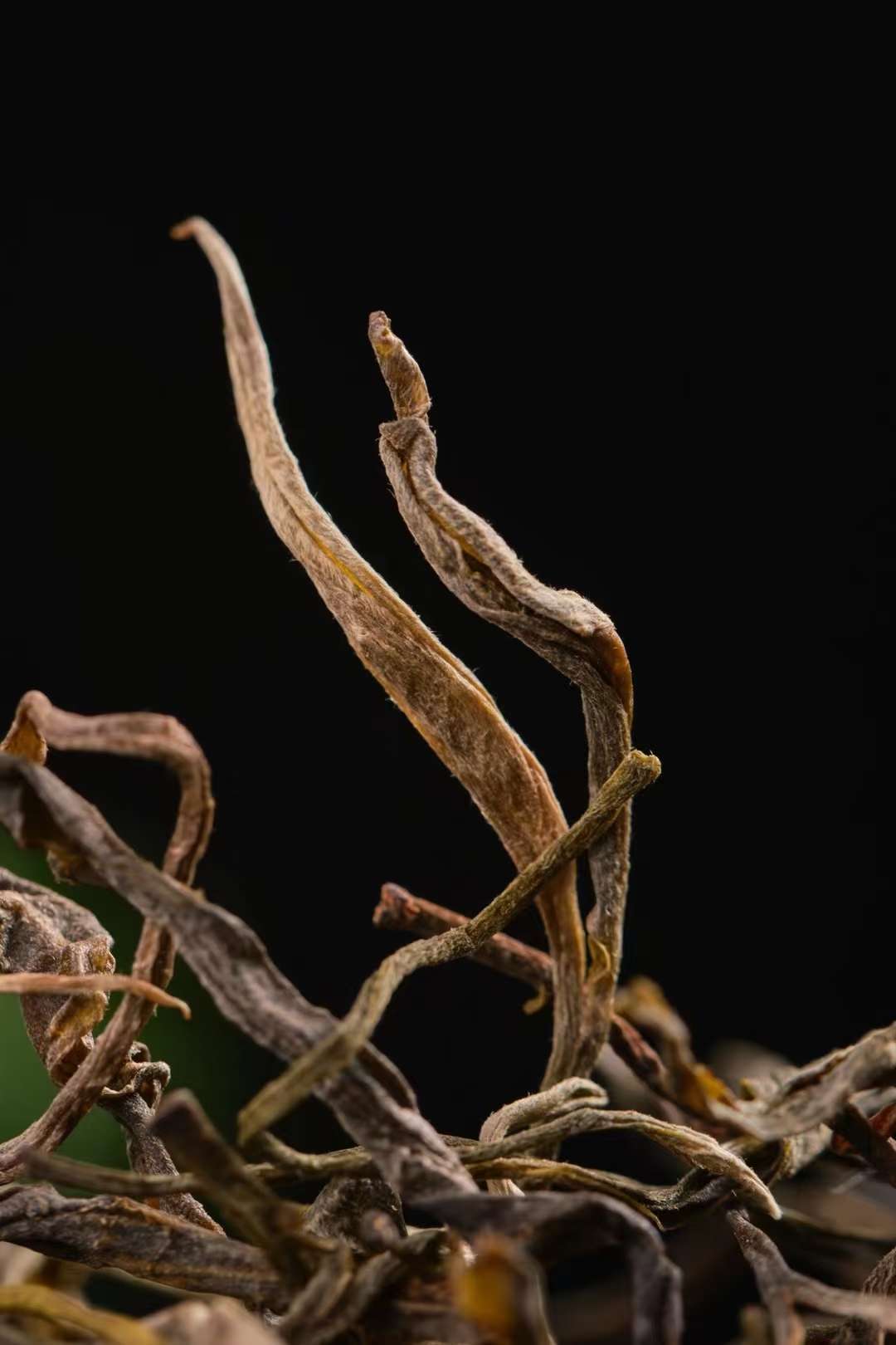The original ecological ancient tree black tea from Xieng Khouang is sun-dried, with a mellow taste. It costs 280 yuan per jin and becomes even more outstanding when stored for a long time detail image 5