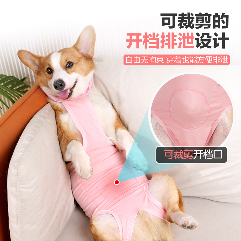 Cross-border new pet clothing: Dog postoperative recovery clothing, medium and large-sized dog sterilization clothing, weaning and lacing style, anti-licking Specification image