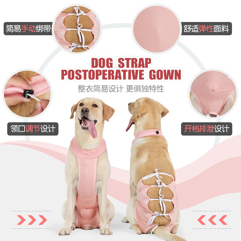 Cross-border new pet clothing: Dog postoperative recovery clothing, medium and large-sized dog sterilization clothing, weaning and lacing style, anti-licking Application Scenario