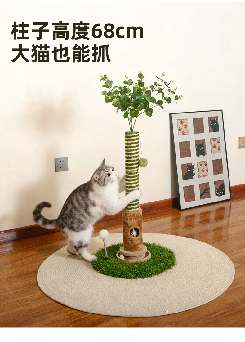 Трансграничные скрежетные кошки, кошки, кошки, кошки, кошки, кошки, царапки, кошки, царапки, кошки, царапки, царапки, не могут избавиться от оптовой оптовой торговли производителя pic 3