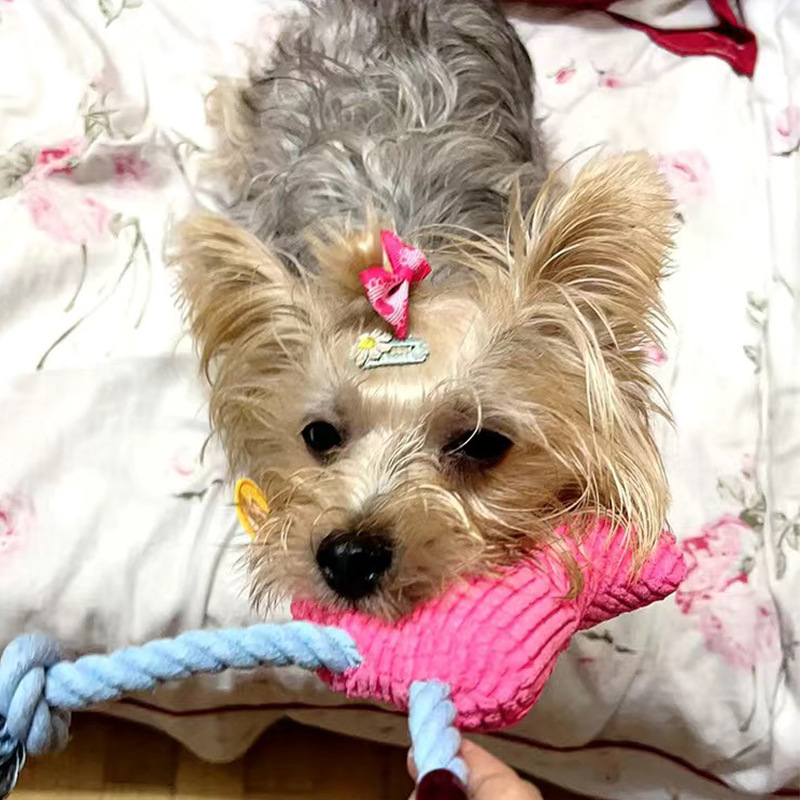 Amazon pet supplies: Vocal, teething, chewable cat and dog toys, corn kernels, plush cotton ropes, deer in stock for wholesale Specification image