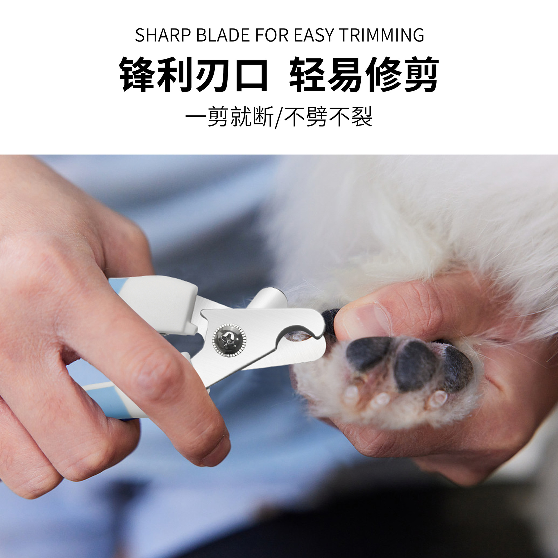 Pet nails cutter set perro gato limpieza belleza cortador de uñas cortador de uñas con archivo pet supplies wholesale Specification image