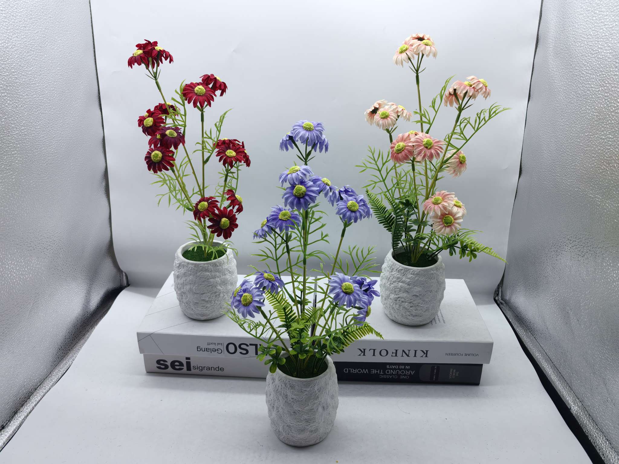 彩色小雏菊