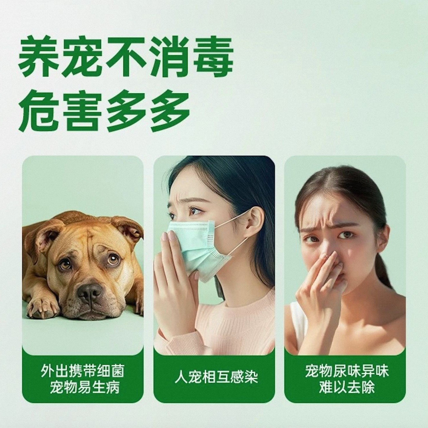 Cross-border cat litter box cleaner, mite remover, air fresher, pet deodorant, pet supplies and toy cleaner Specification image