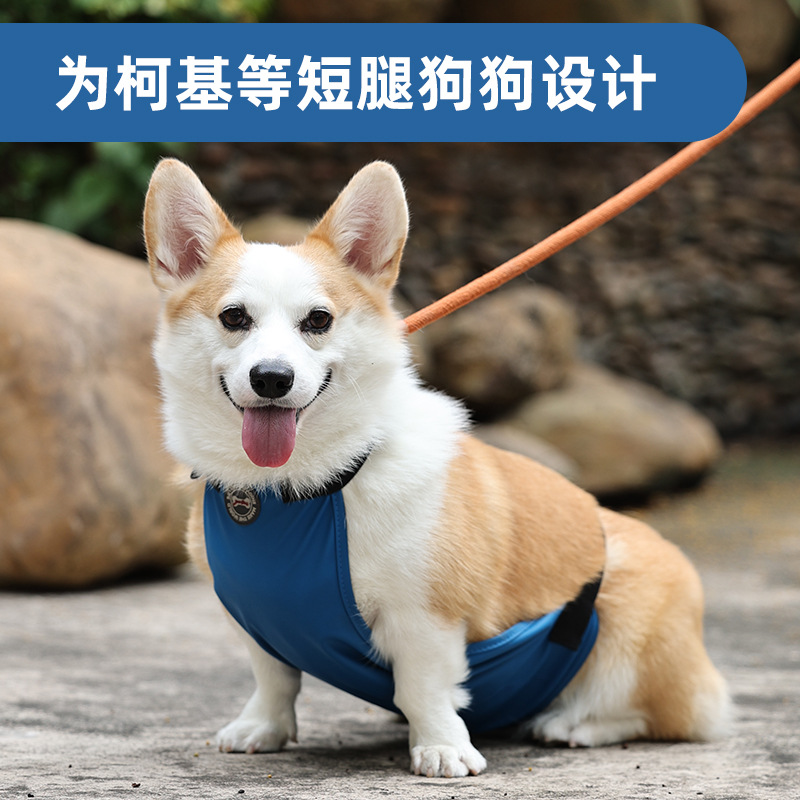 Pet supplies: Corgi dog belly bands, waterproof and dirt-resistant pet clothing, outdoor pet bibs, small and medium-sized dog belly bands Specification image