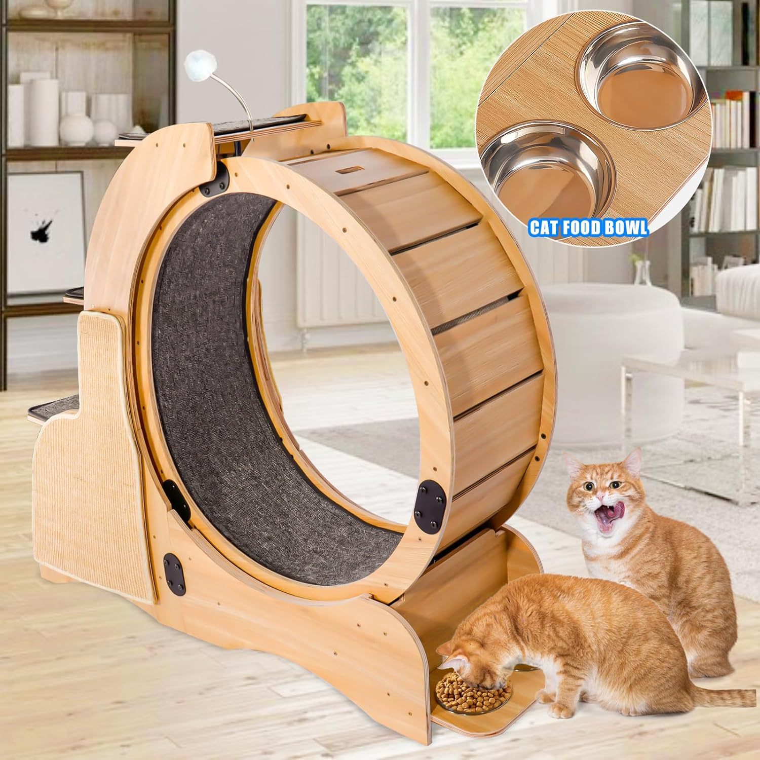 猫咪跑步机猫咪运动跑轮网红猫跑道静音滚筒猫咪用品清仓四季通用