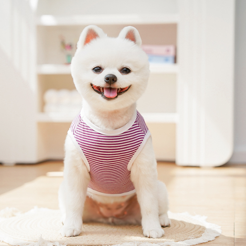 Colorful striped pet vests, dog four-legged cool clothes, pet clothing, summer breathable supplies Specification image