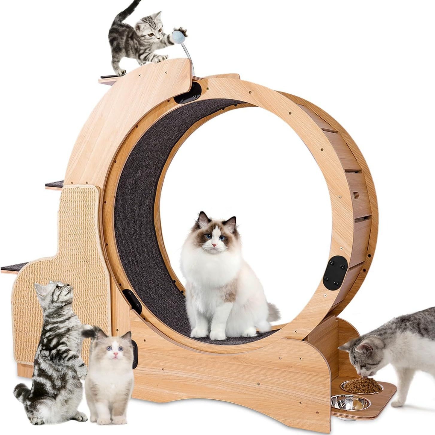 Cinta de correr para gatos rueda de carreras deportiva para gatos red de red para gatos pista de carreras rodillo silencioso para gatos artículos de liquidación cuatro estaciones general Item Picture