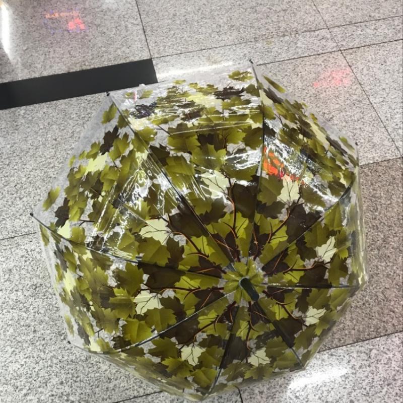 恒盾绿叶图案透明PVC折叠伞晴雨两用轻便防晒