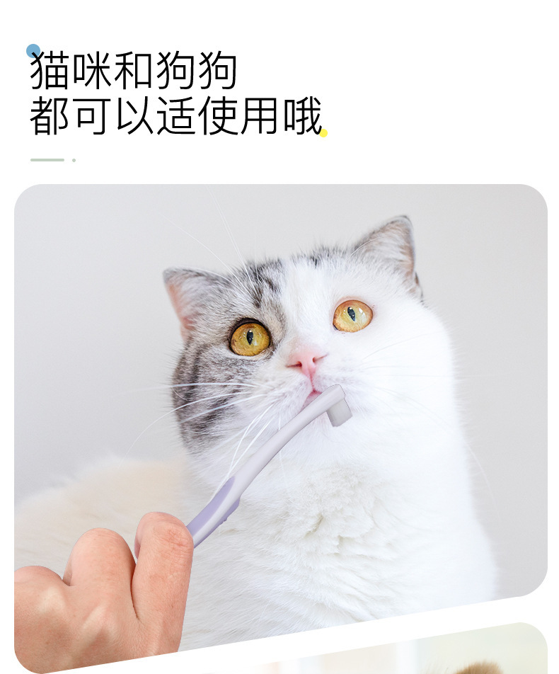 Текущая зубная щетка для питомца, кошачья, кошачья, кошачья, пластиковая, мягкая, щетка для питомца, оптовая pic 1