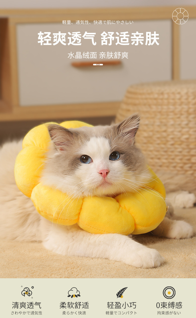 太阳花伊丽莎白圈 宠物猫咪项圈狗狗脖圈绝育耻辱圈防舔防抓头套详情2