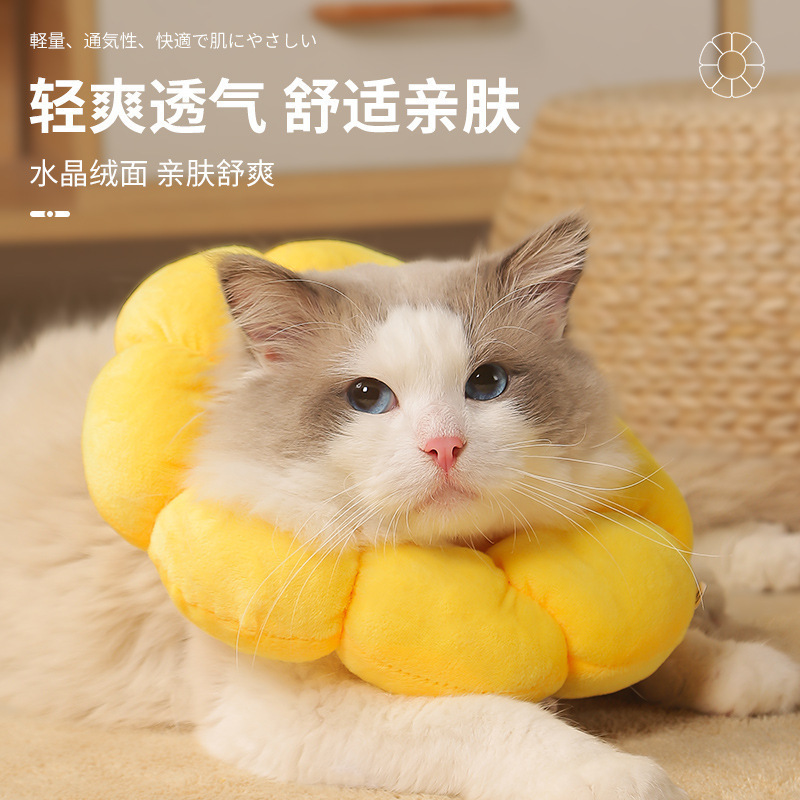宠物项链/宠物项圈/宠物饰品/宠物项圈用品/宠物用品细节图