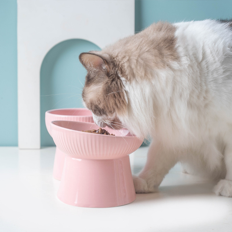 Ceramic cat and dog bowls, cute slanted mouth single bowl, cat basin, neck guard high leg bowl, dog basin, anti-knock cat supplies wholesale