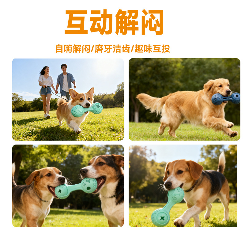 The manufacturer supplies new interactive, boring, leak-eating small and medium-sized dog toys and vocal pet toys in stock for wholesale details Picture