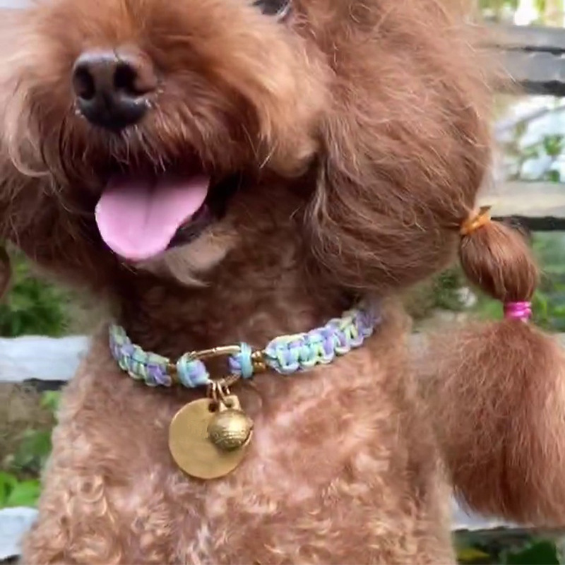 纯手工编织小型犬幼犬项圈 猫咪可调节颈链脖圈防丢失猫圈 可客制 Specification image