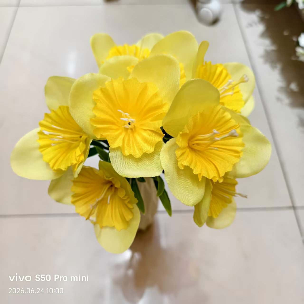 جوف جوف جوف جوف جوف جوف جوف Specification image