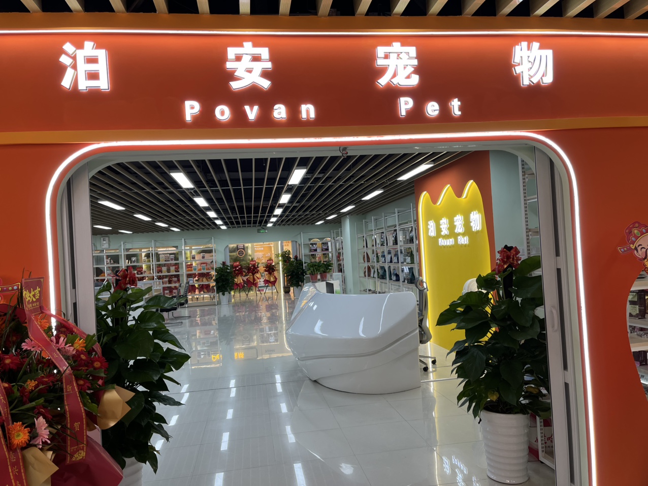 泊安宠物