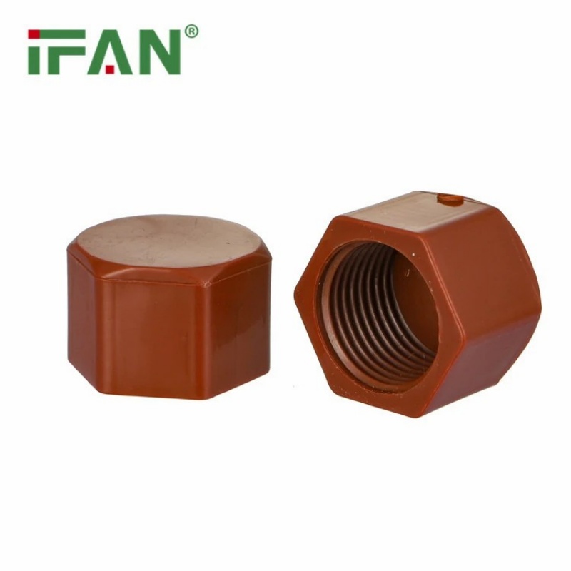 High-Quality IFAN PPH Pipe Fittings Female Threaded End Plug Specification image