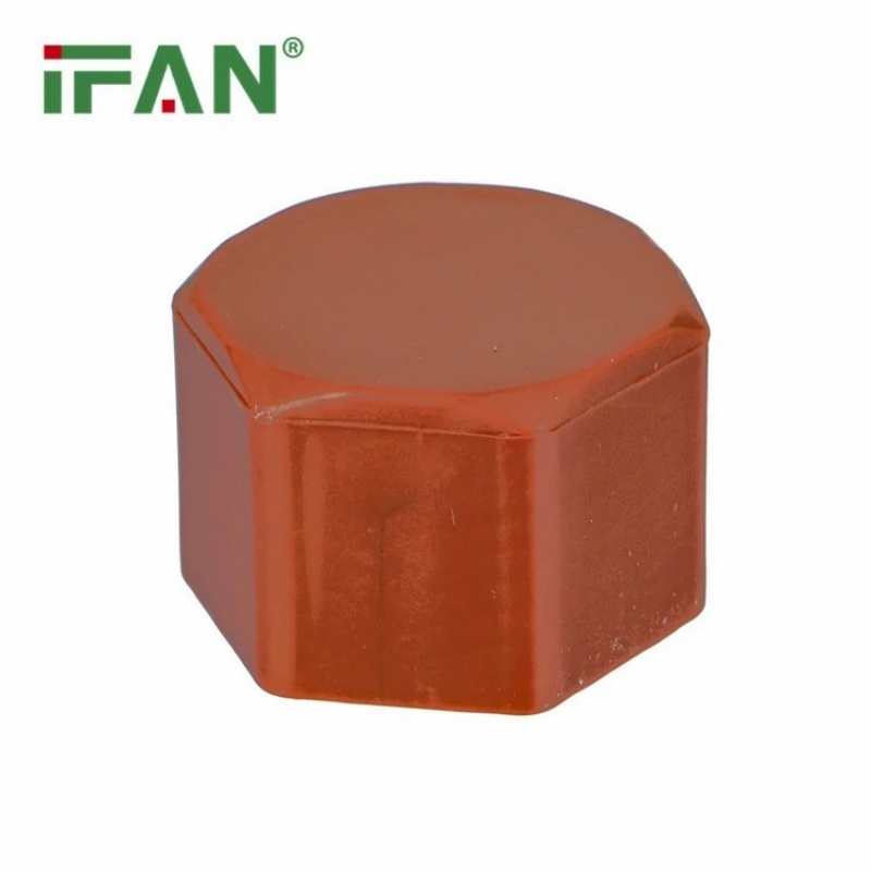 High-Quality IFAN PPH Pipe Fittings Female Threaded End Plug details Picture
