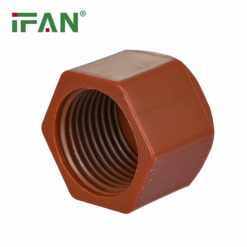 High-Quality IFAN PPH Pipe Fittings Female Threaded End Plug