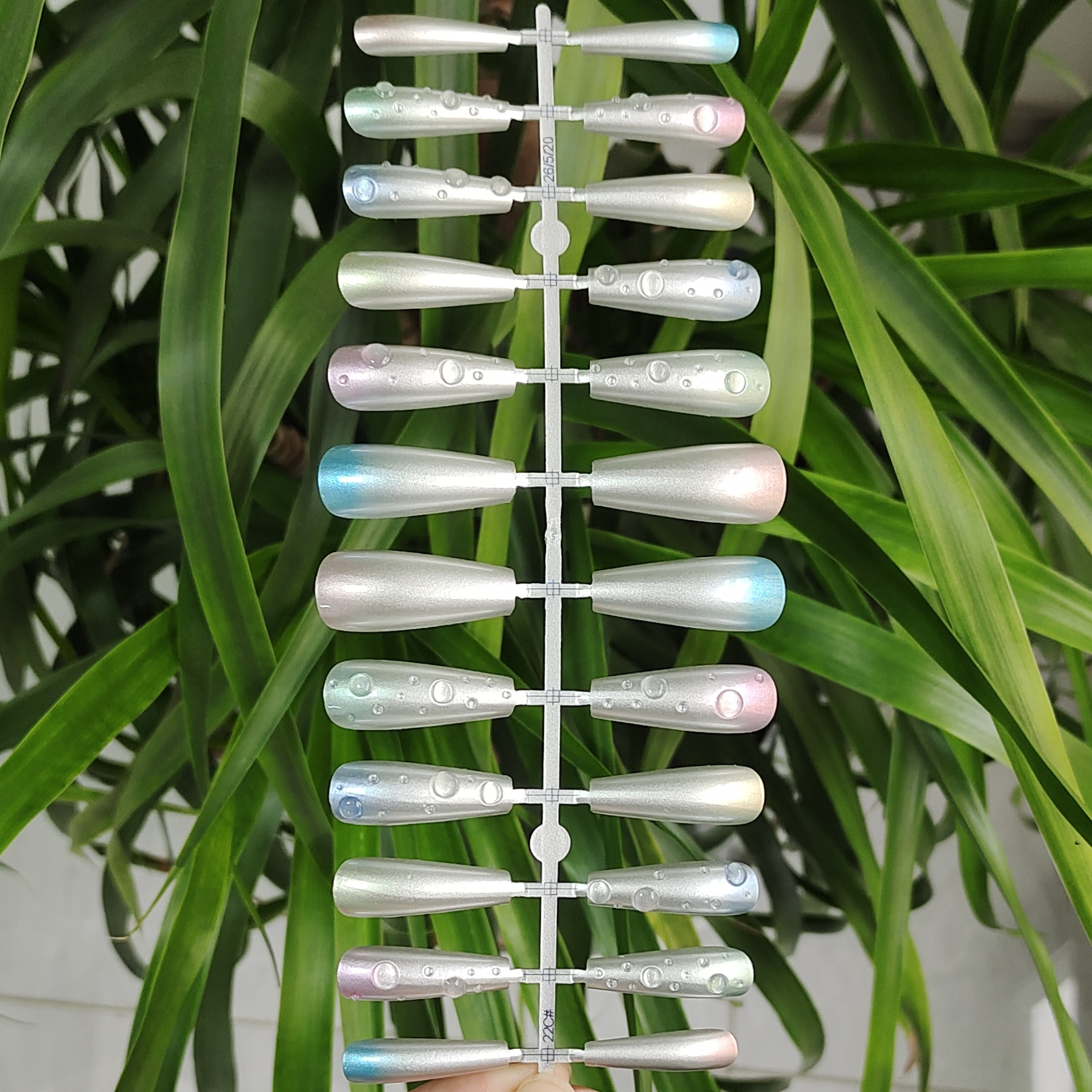 24片 芭蕾形 彩色甲片 3D点胶葱粉工艺 透明水滴图案 穿戴甲可穿戴指甲贴片