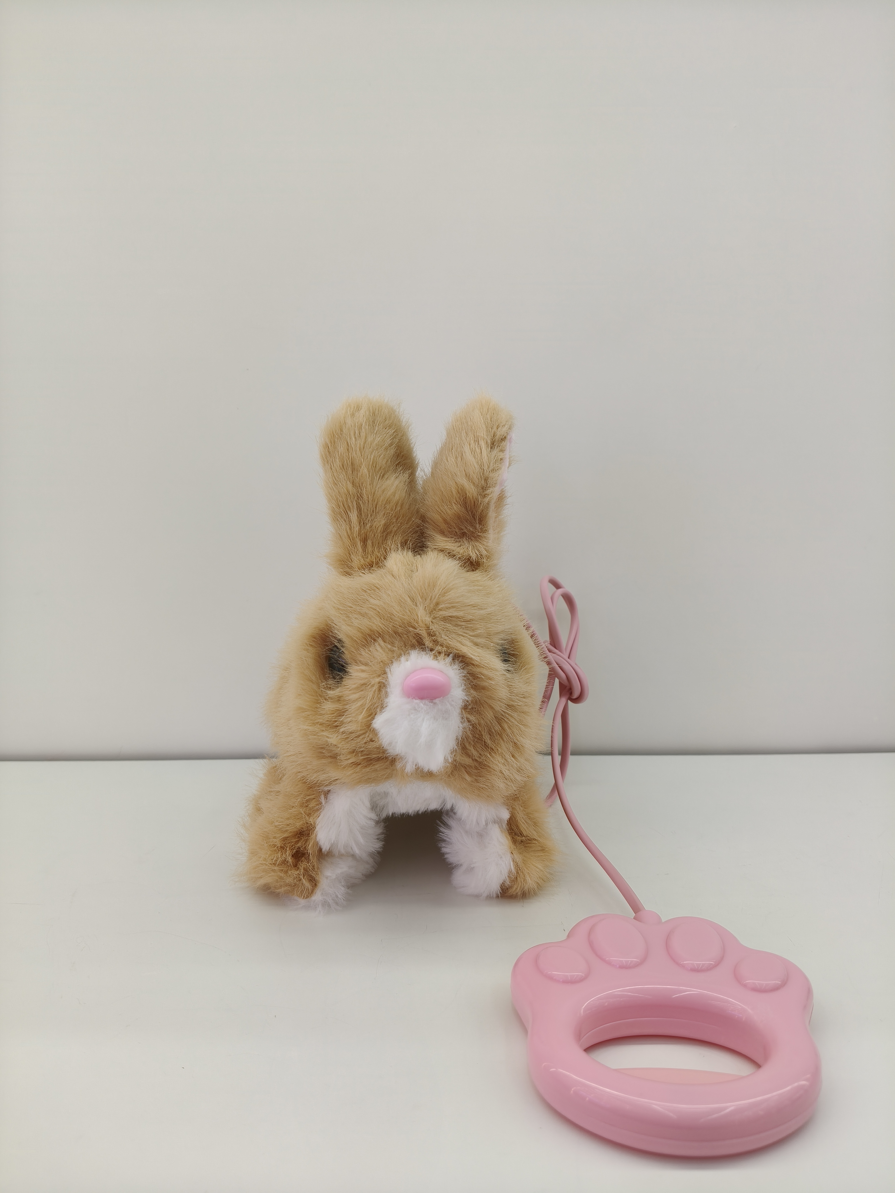 Simulated electric plush pet leash, rabbit can walk, sing and record, cute pet children's toy Application Scenario