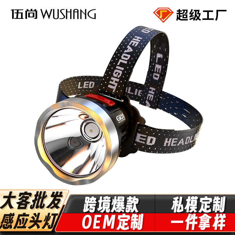 强光头灯户外照明充电款钓鱼应急感应多功能头戴式头灯WS-01