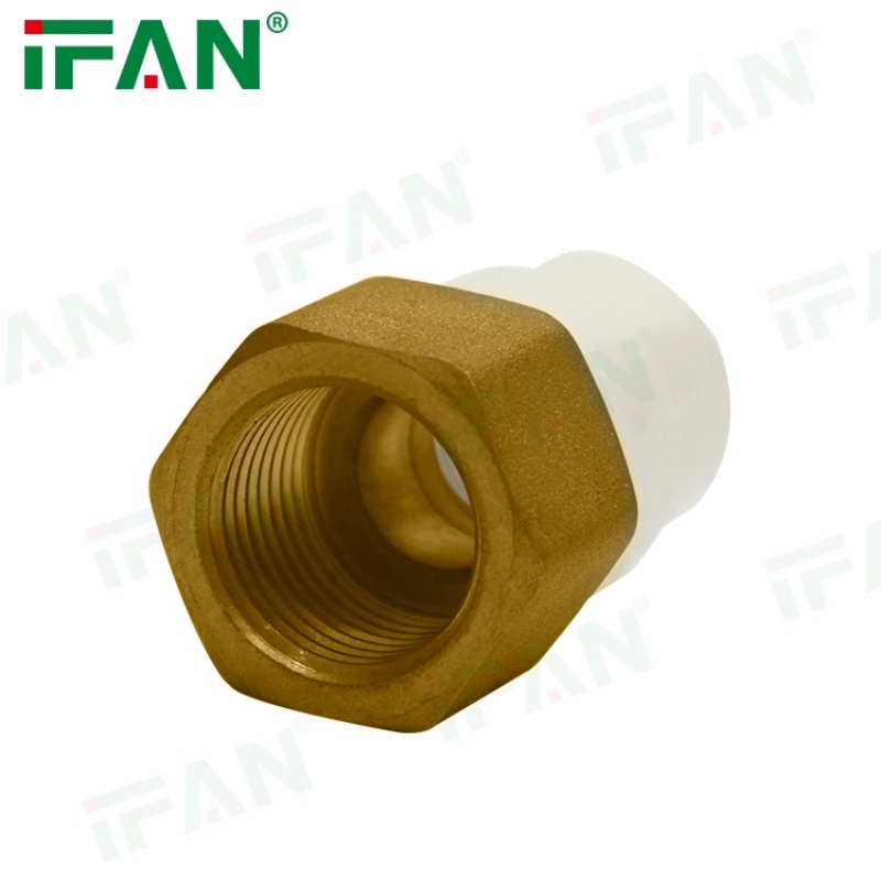 IFAN Manufactures CPVC Pipe Fittings Female Brass threads Specification image