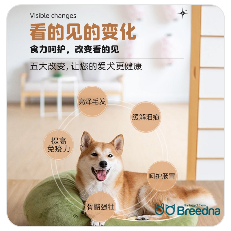 西班牙进口Breedna布雷德纳狗粮70%鲜肉含量无谷物能量中大型犬粮 Item Picture