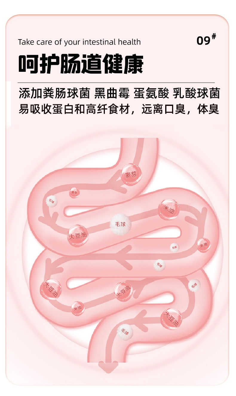 Breedna西班牙原装进口布雷德纳无谷物纯鲜肉优质高蛋白幼猫粮详情9