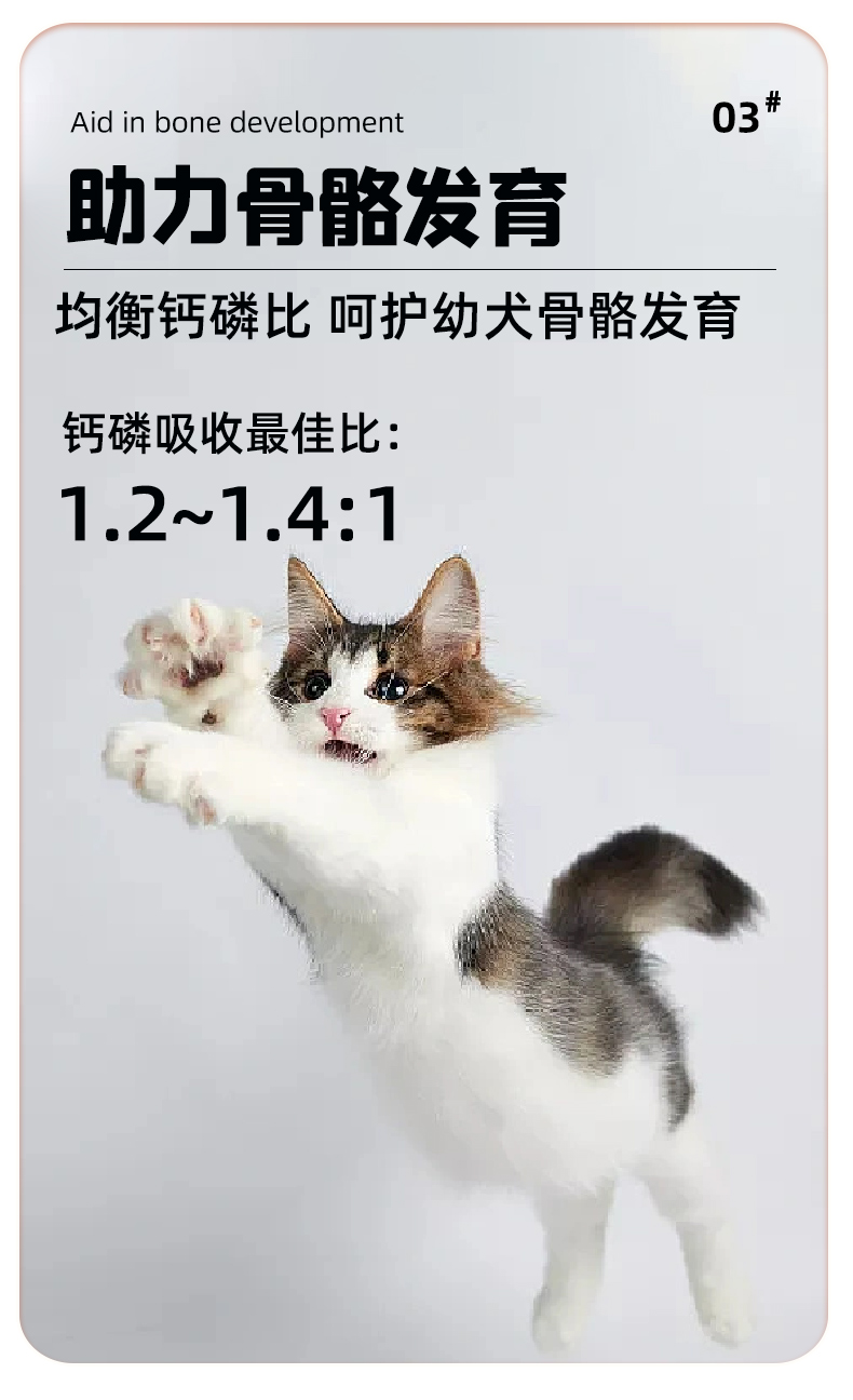Breedna西班牙原装进口布雷德纳无谷物纯鲜肉优质高蛋白幼猫粮详情3