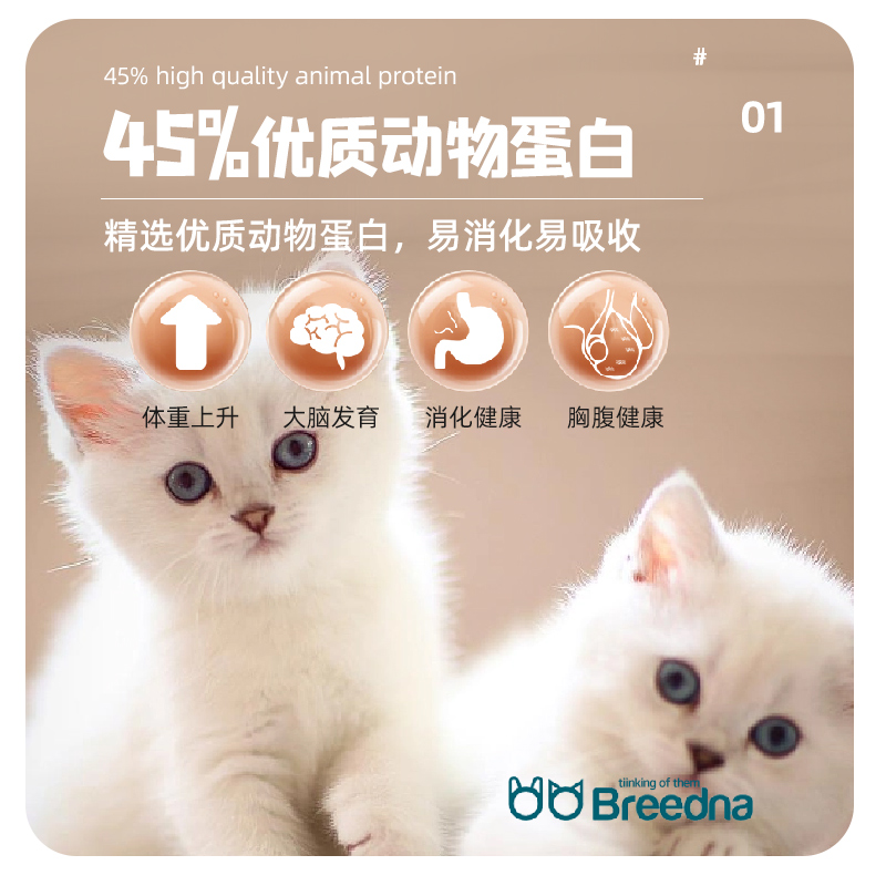 猫猫干粮实物图