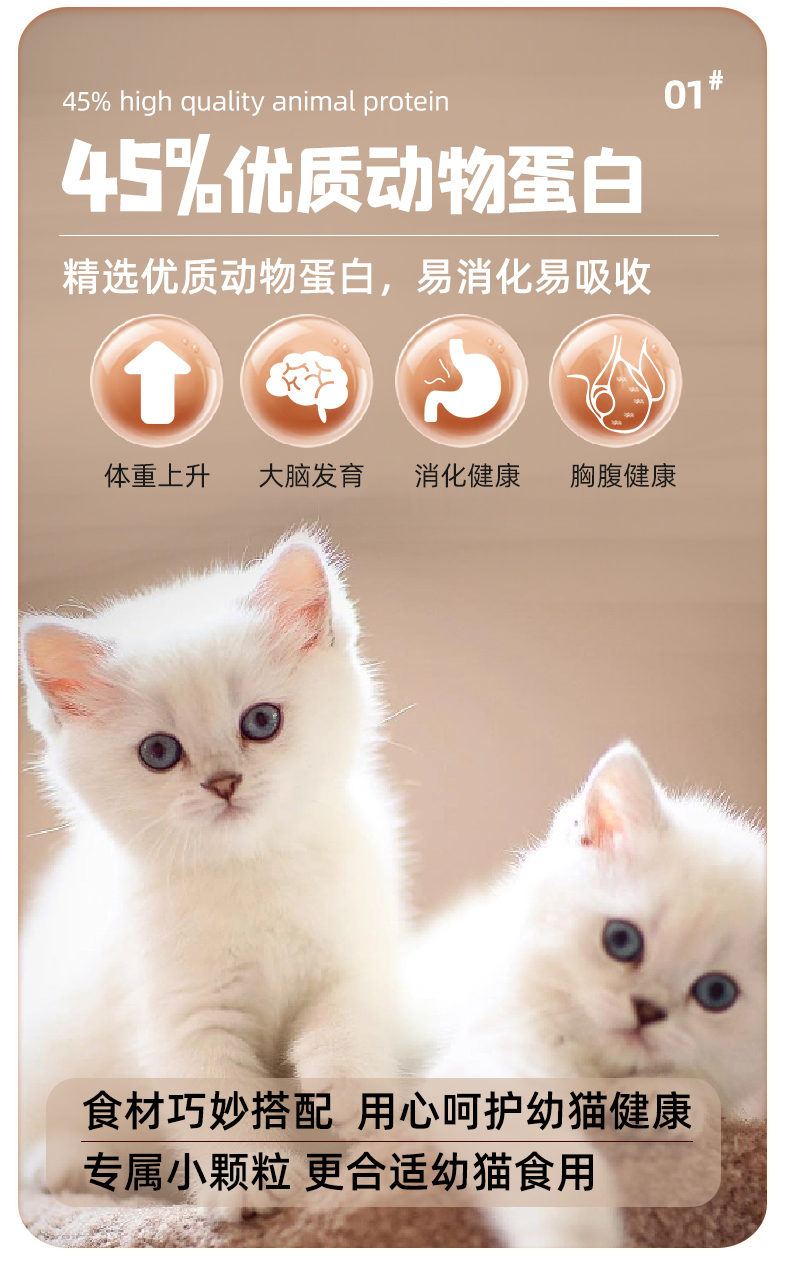 Breedna西班牙原装进口布雷德纳无谷物纯鲜肉优质高蛋白幼猫粮详情1