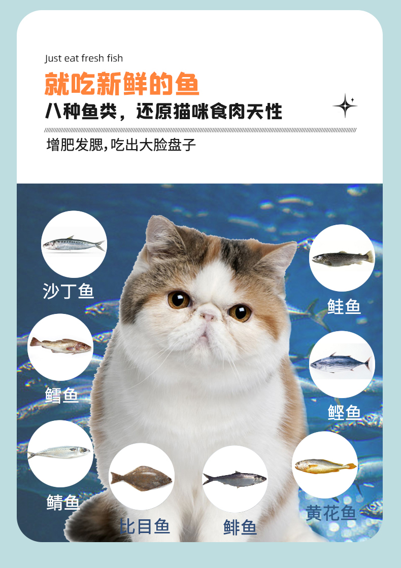 Breedna西班牙进口布雷德纳无谷低敏高蛋白八种鱼猫粮全价猫粮 pic 5