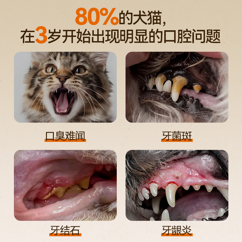 O'dless Pet Dental Gel is suitable for cats and dogs. It can remove tartar and dental plaque, eliminate bad breath and clean dental plaque. It is a gel toothpaste that is edible details Picture