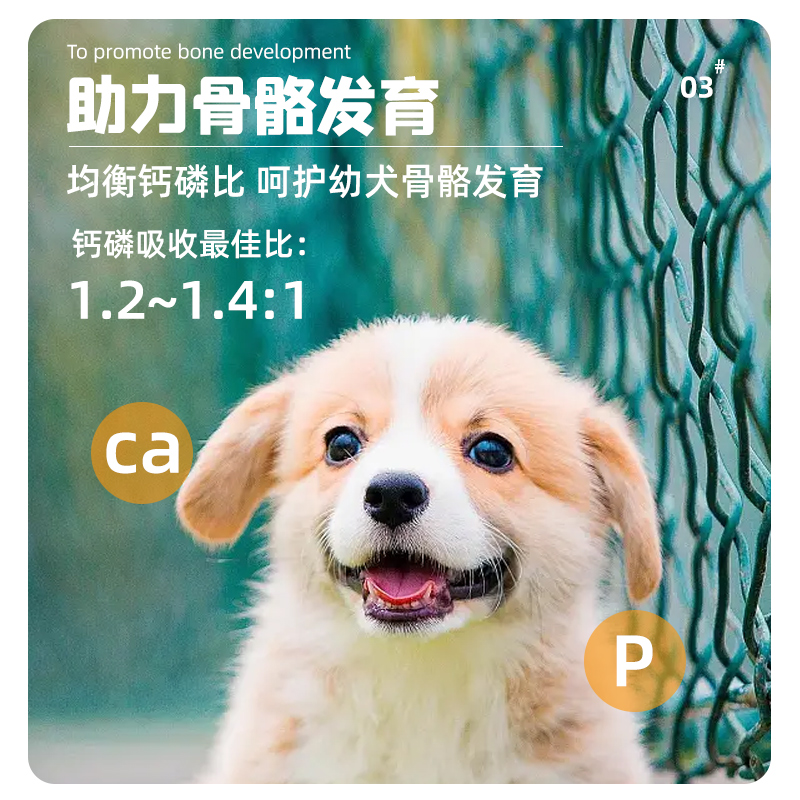 西班牙进口Breedna布雷德纳狗粮鸡肉通用全价幼犬狗粮 details Picture
