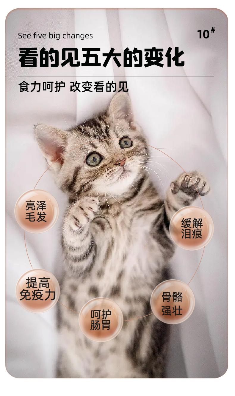 Breedna西班牙原装进口布雷德纳无谷物纯鲜肉优质高蛋白幼猫粮详情10