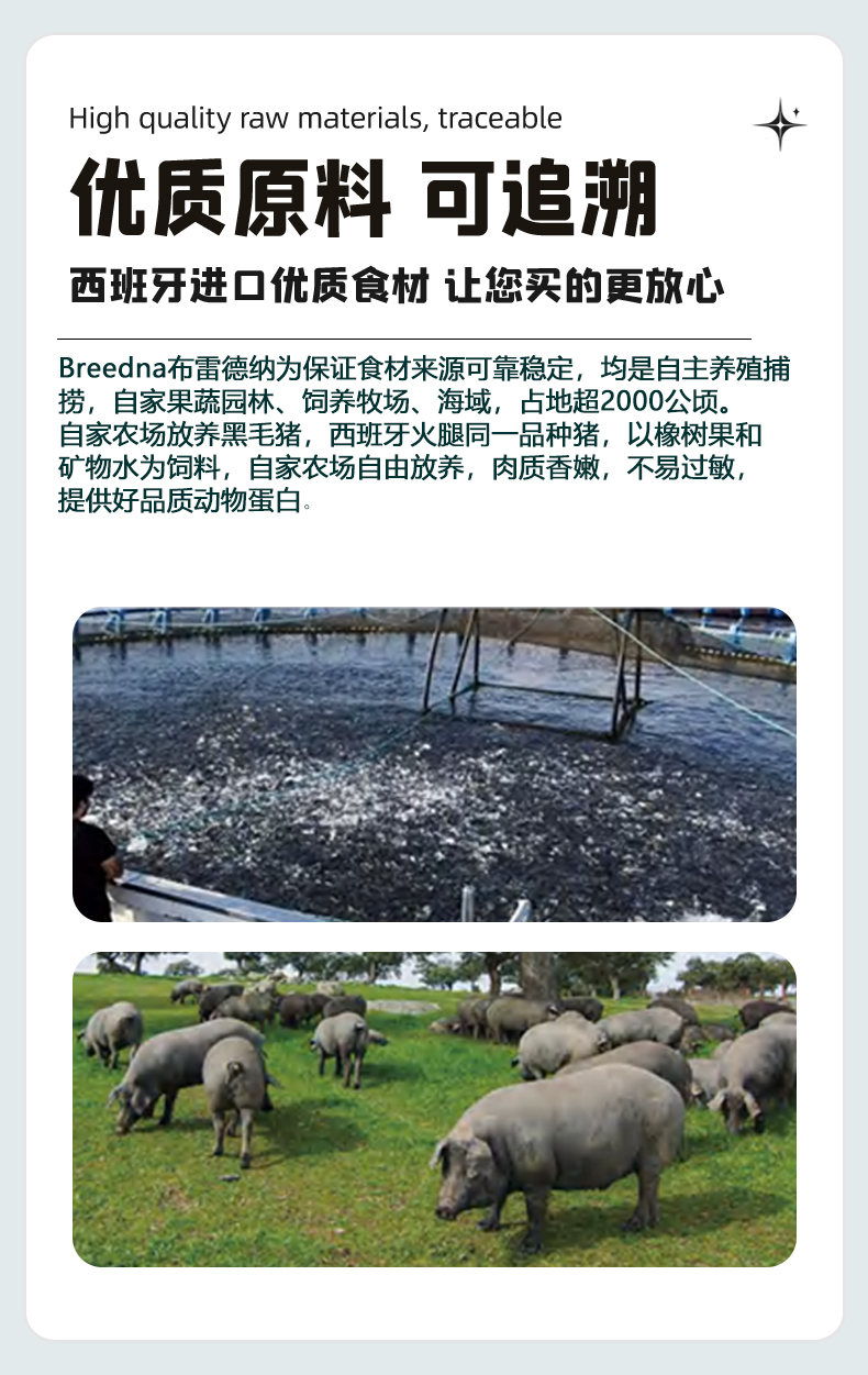 Breedna西班牙原装进口布雷德纳无谷物纯鲜肉优质高蛋白幼猫粮详情11