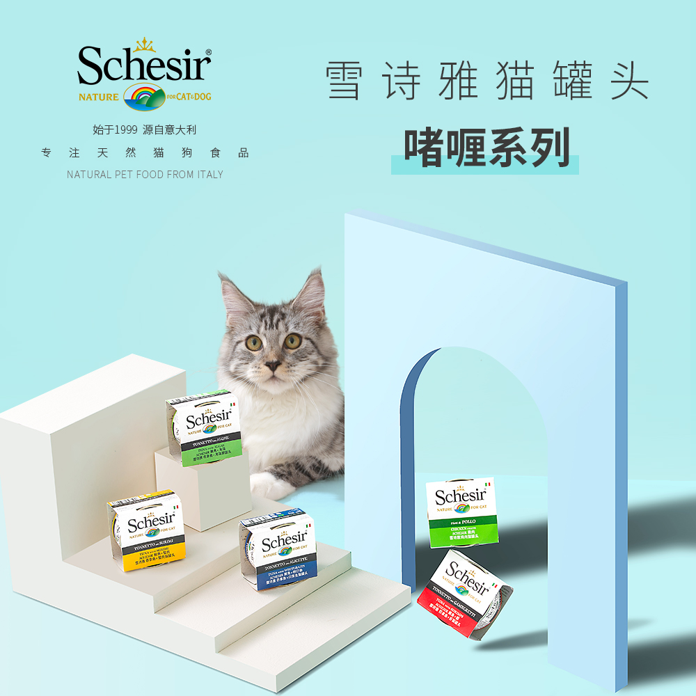 Schesir Italian imported jelly, soup-boiled, water-boiled and fruit mixed cat canned nutritious snacks, 6 cans in a set
