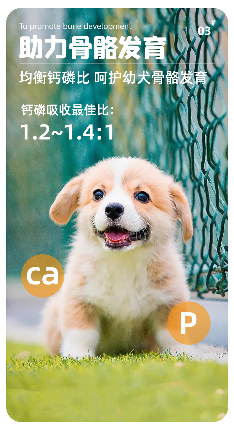 西班牙进口Breedna布雷德纳狗粮鸡肉通用全价幼犬狗粮 pic 4