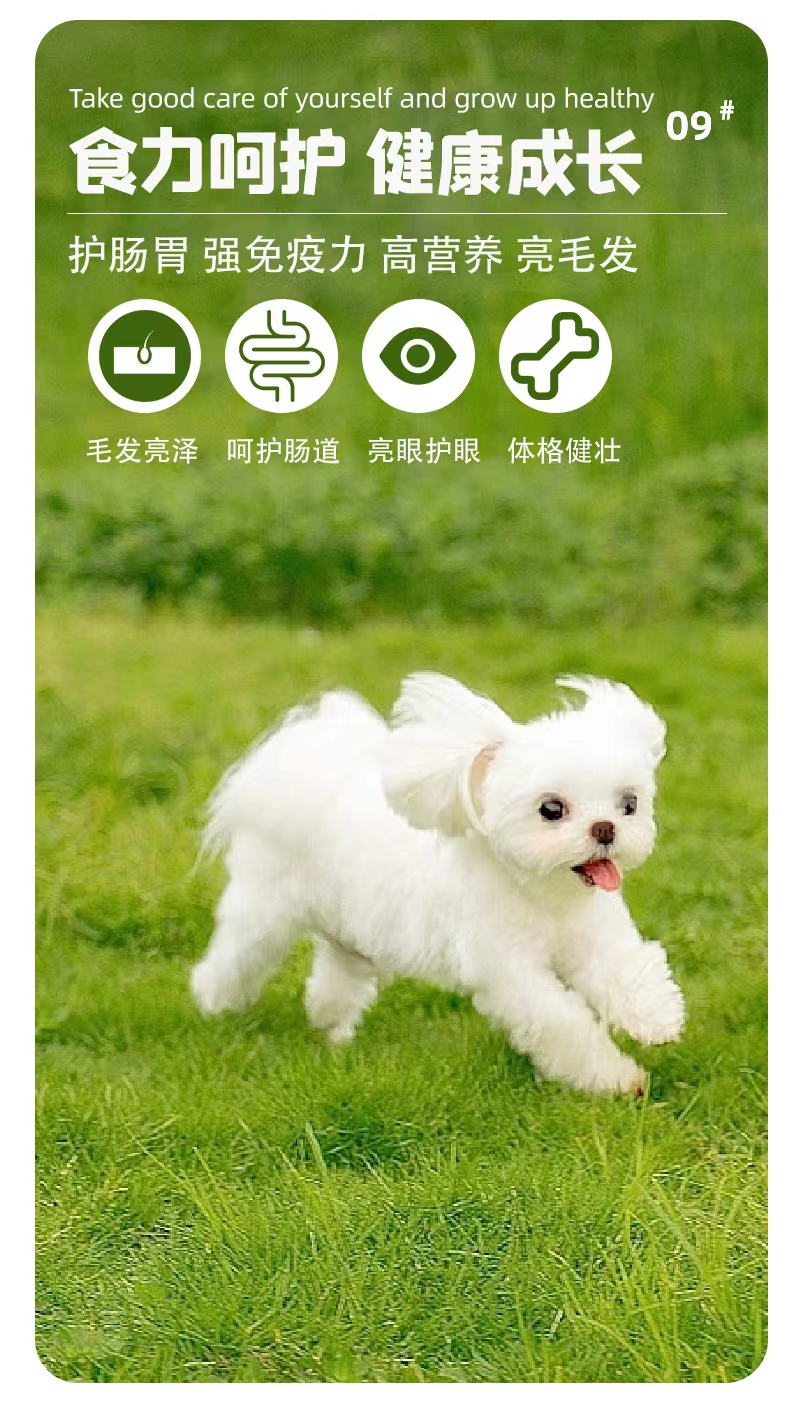 西班牙进口Breedna布雷德纳狗粮鸡肉通用全价幼犬狗粮 pic 10