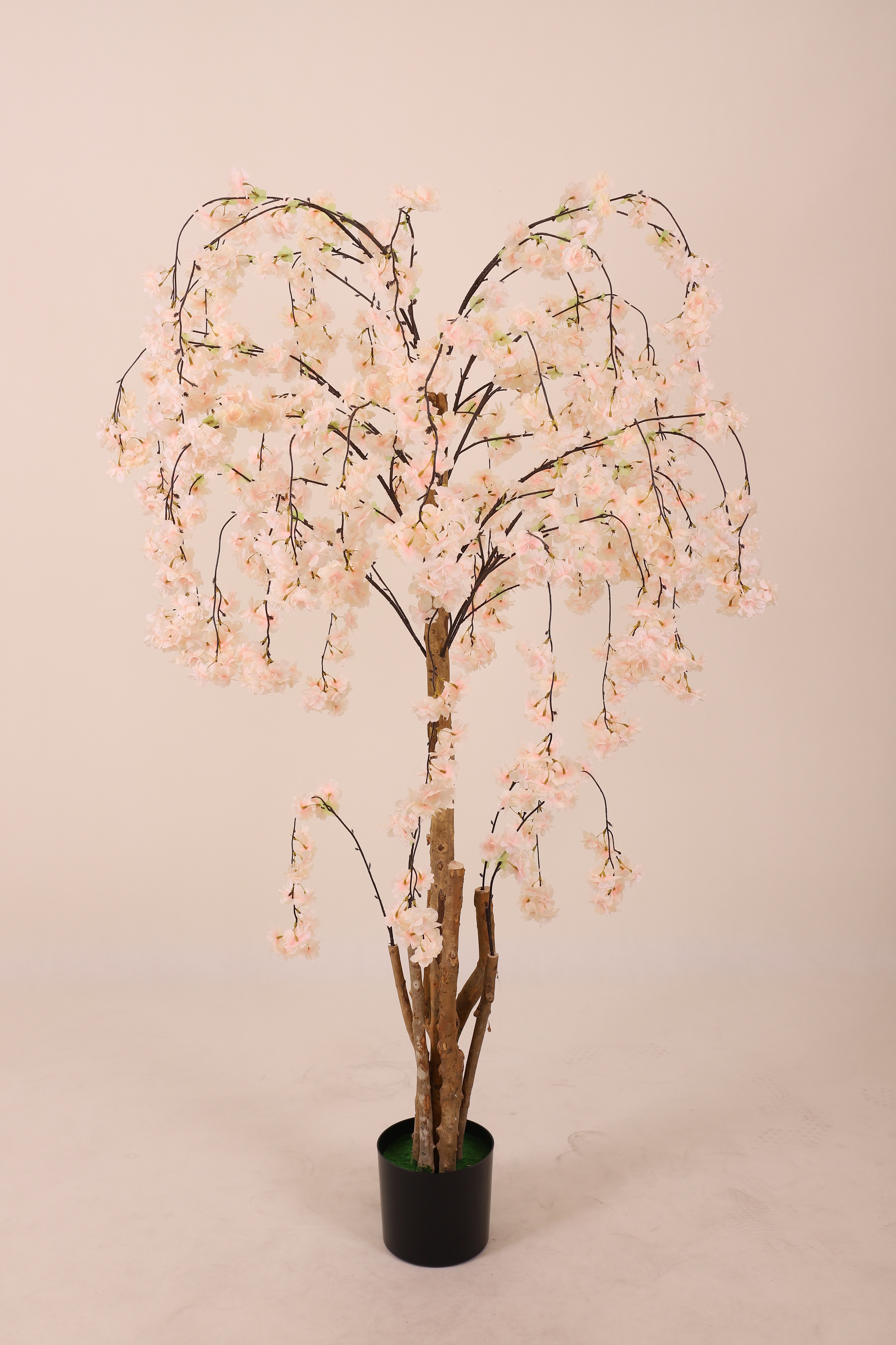 粉色樱花树盆栽仿真竹仿真花仿真绿植造景带果橄榄枝