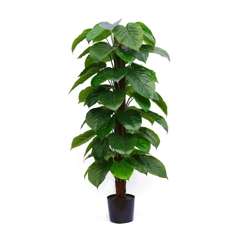 绿植/花卉/园艺用品/仿真绿植/园艺细节图