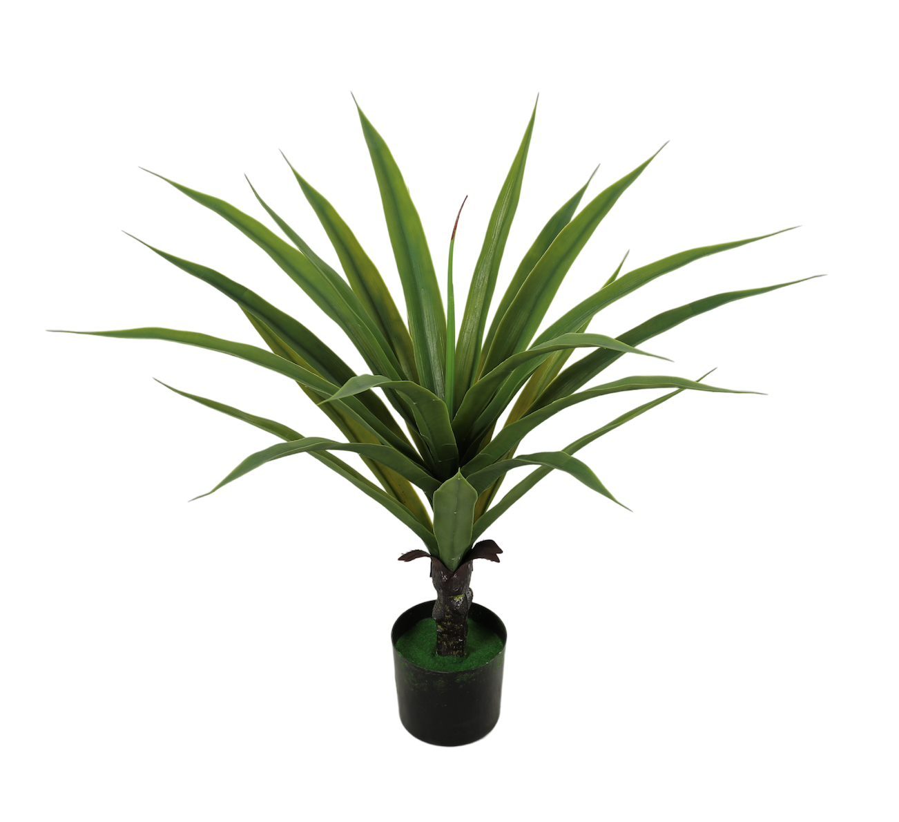 沙漠植物植物盆栽绿植花卉园艺用品仿真绿植园艺